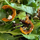Roasted delicata squash salad